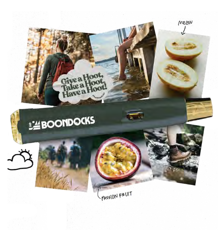 Cloudwalker All-In-One Vape Cartridge - 1g