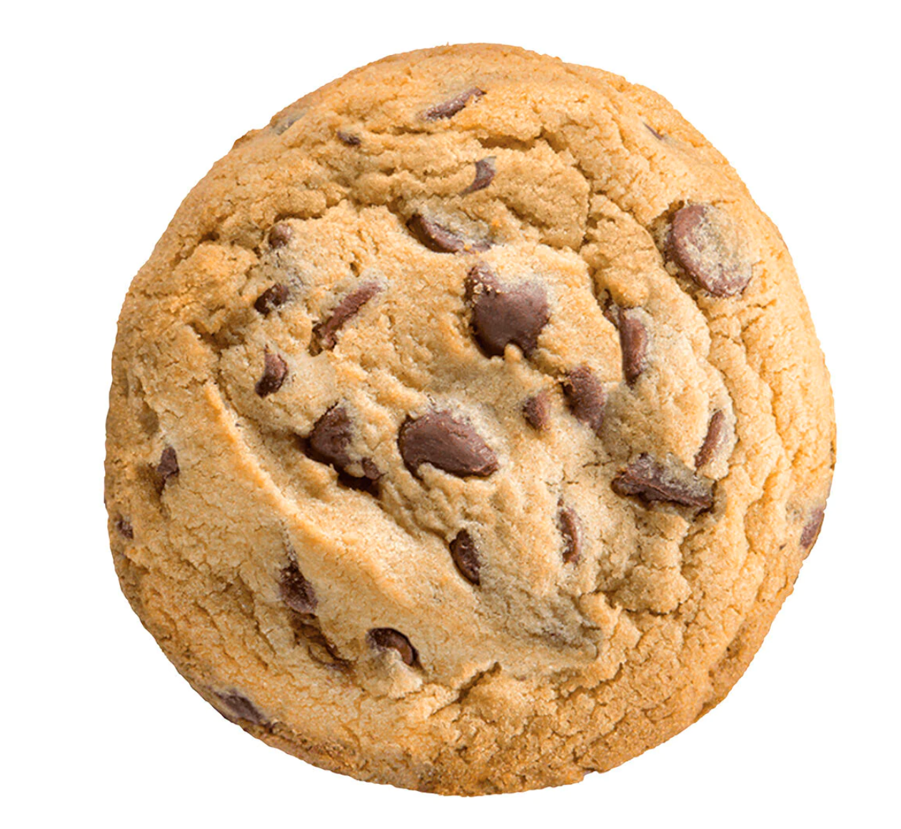 Chocolate Chip Cookie