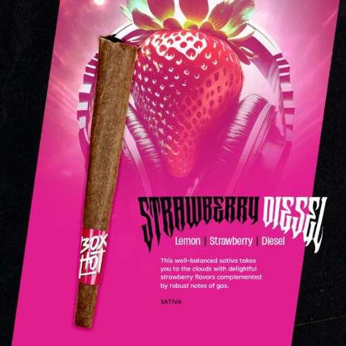 Strawberry Diesel Infused Blunt (1g)