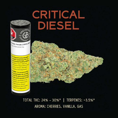 Critical Diesel (3.5g)