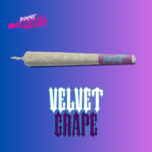 Velvet Grape Preroll (1x1g)